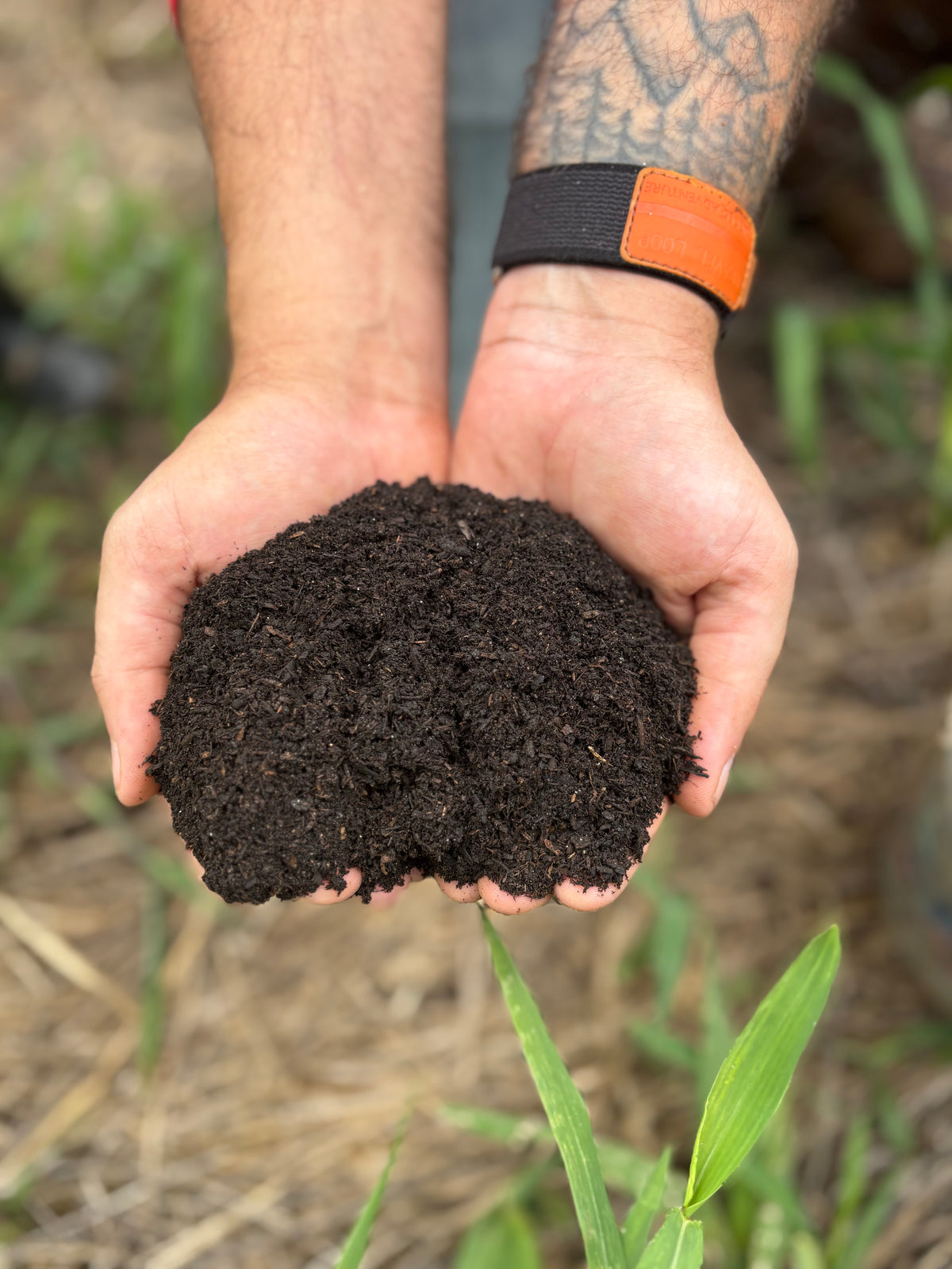 Sifted Compost